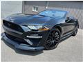 2019 Ford Mustang EcoBoost Convertible for sale 2019
Ford
Mustang EcoBoost Convertible