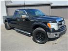 Ford F-150 4WD SuperCab 163'' 2013